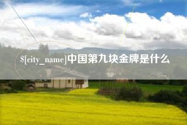 永安中国第九块金牌是什么