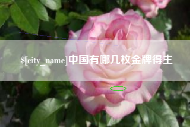 永安中国有哪几枚金牌得主