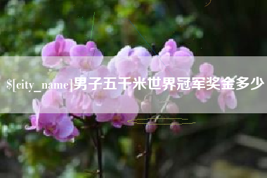 永安男子五千米世界冠军奖金多少