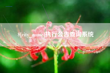 永安执行公告查询系统