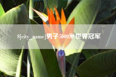 永安男子5000米世界冠军