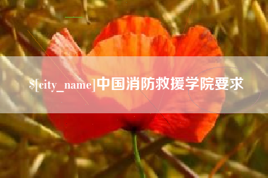 永安中国消防救援学院要求