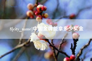 永安中国金牌能拿多少奖金