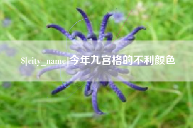 永安今年九宫格的不利颜色