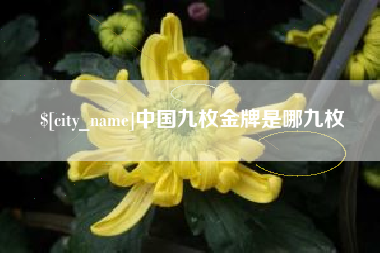 永安中国九枚金牌是哪九枚