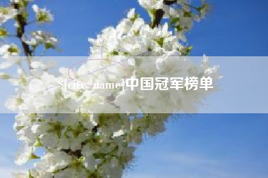永安中国冠军榜单