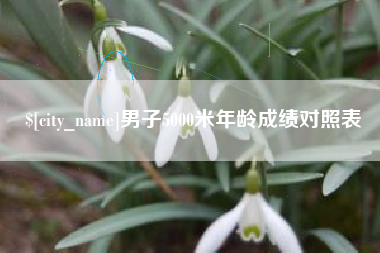 永安男子5000米年龄成绩对照表