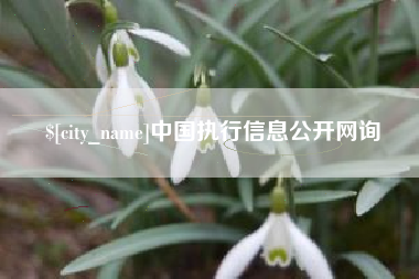 永安中国执行信息公开网询