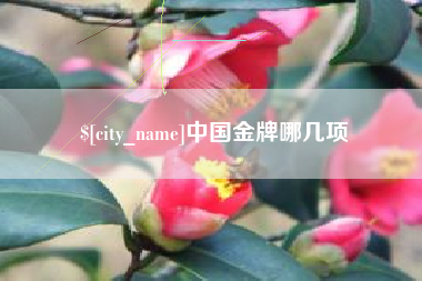 永安中国金牌哪几项