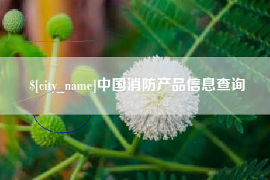 永安中国消防产品信息查询