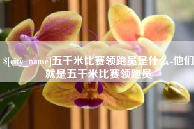 永安五千米比赛领跑员是什么-他们就是五千米比赛领跑员