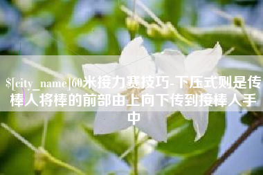 永安60米接力赛技巧-下压式则是传棒人将棒的前部由上向下传到接棒人手中