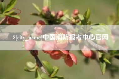 永安中国消防报考中心官网