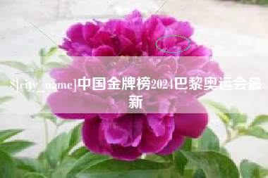 永安中国金牌榜2024巴黎奥运会最新