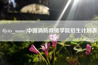永安中国消防救援学院招生计划表