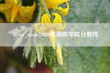 永安2020年消防学院分数线