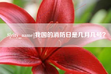 永安我国的消防日是几月几号？