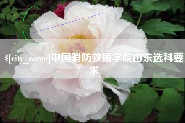 永安中国消防救援学院山东选科要求