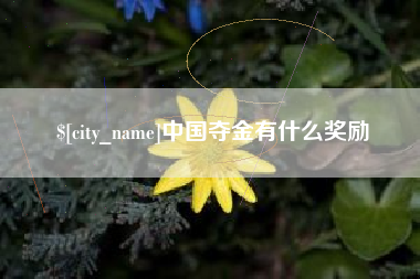 永安中国夺金有什么奖励