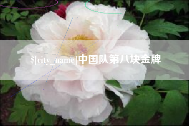 永安中国队第八块金牌
