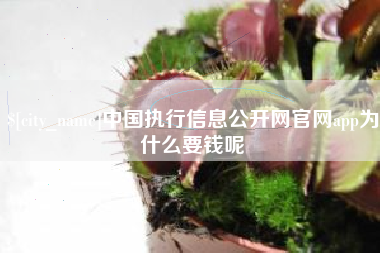 永安中国执行信息公开网官网app为什么要钱呢