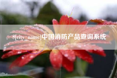 永安中国消防产品查询系统