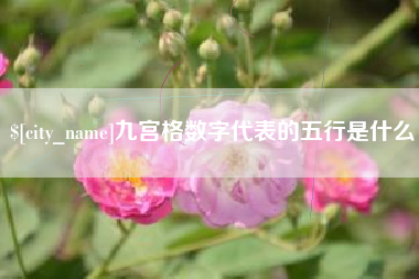 永安九宫格数字代表的五行是什么