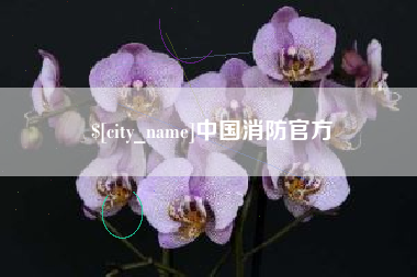 永安中国消防官方