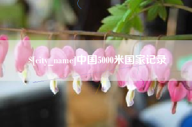 永安中国5000米国家记录