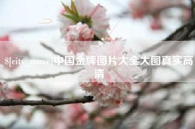 永安中国金牌图片大全大图真实高清