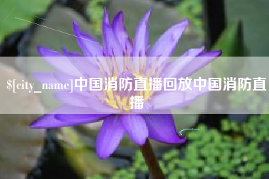 永安中国消防直播回放中国消防直播