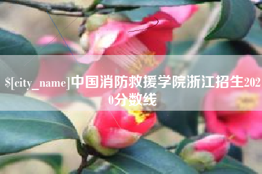 永安中国消防救援学院浙江招生2020分数线