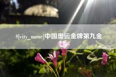 永安中国奥运金牌第九金