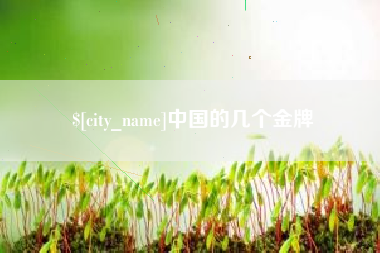永安中国的几个金牌