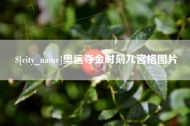 永安奥运夺金时刻九宫格图片