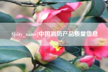 永安中国消防产品质量信息