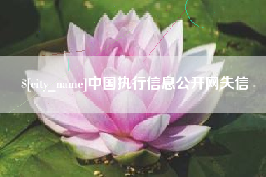 永安中国执行信息公开网失信