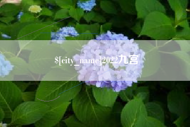 永安2022九宫