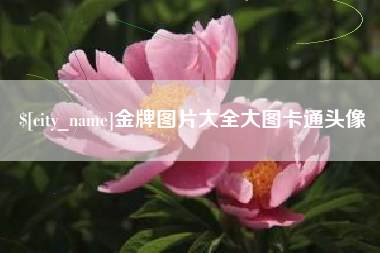 永安金牌图片大全大图卡通头像