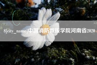 永安中国消防救援学院河南省2020