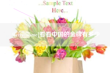 永安看看中国的金牌有多少